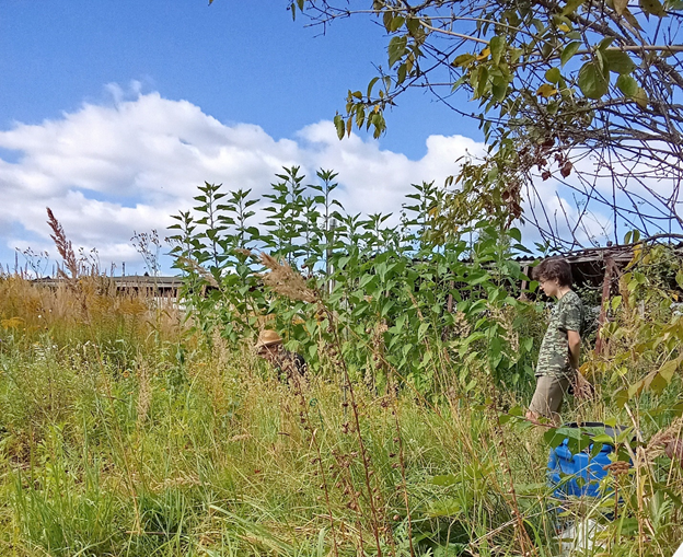 Личное фото