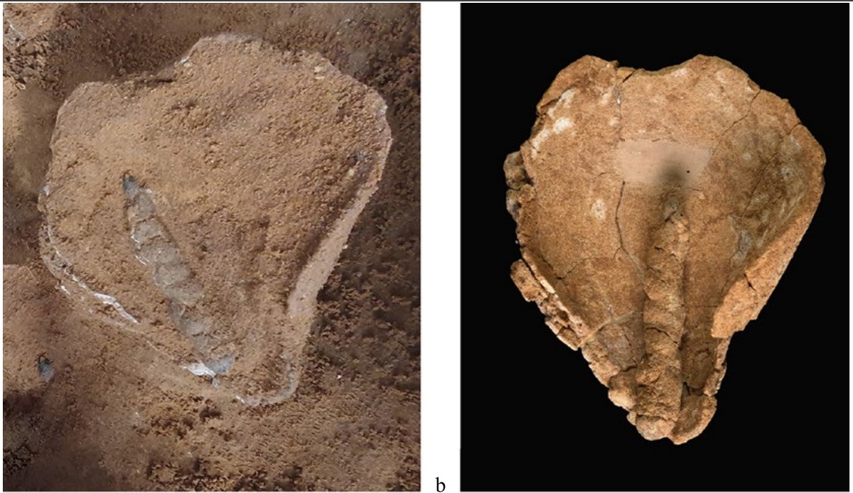 Масляная лампа с фитилём: а) при обнаружении, б) после очистки и консервации.
