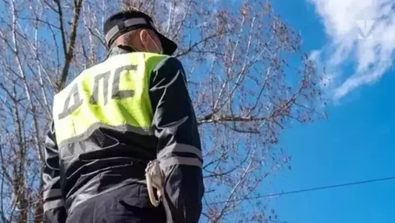      Фото: ИА «Победа26»