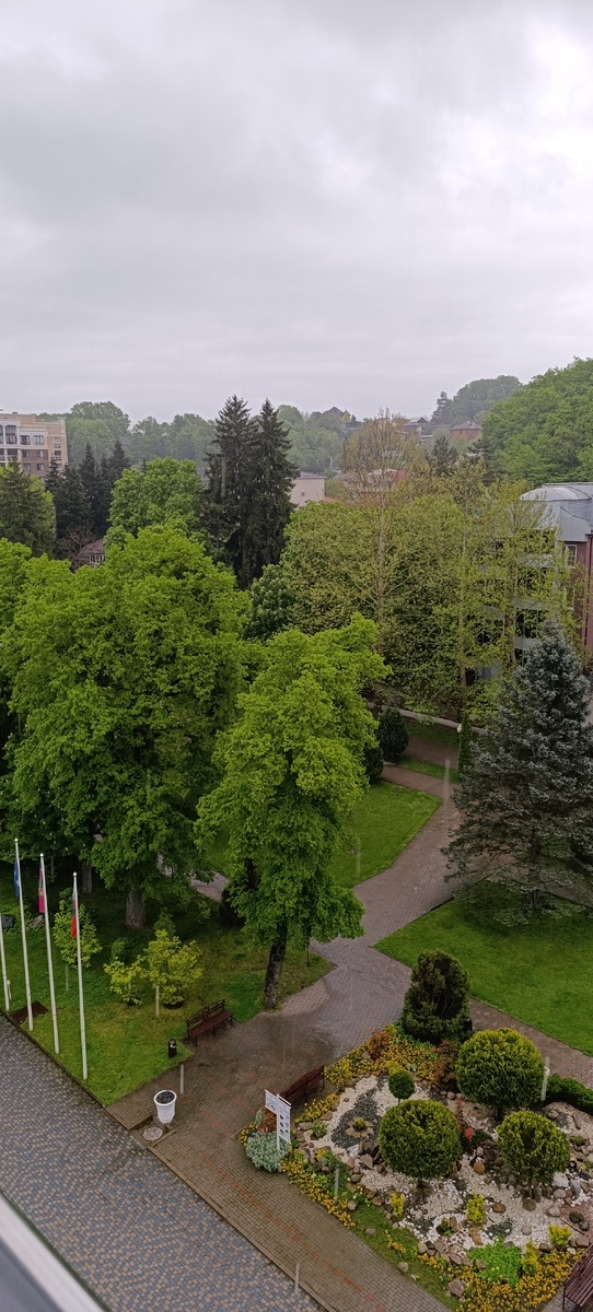 Вид на парк с балкона нашего санатория.