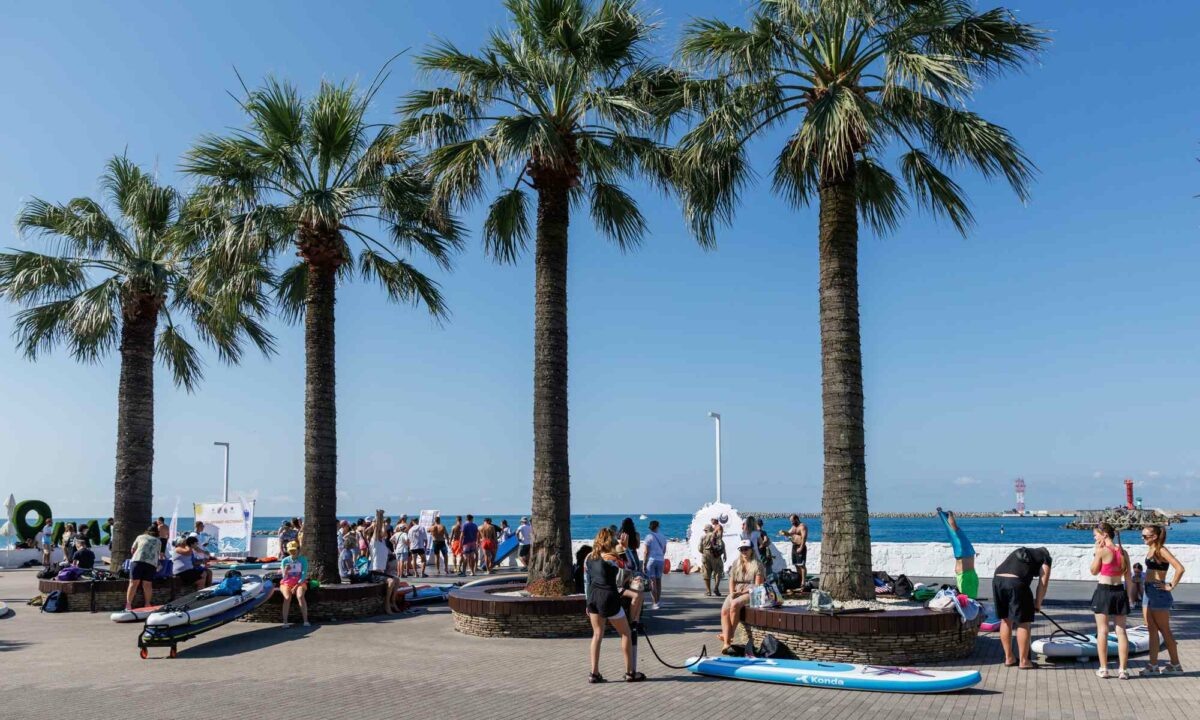    Фото Сергея Кулакова, «Кубань 24»