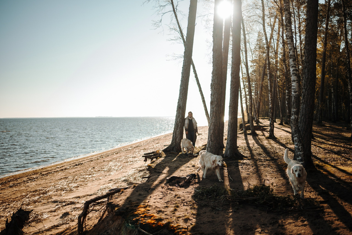 Физическая активность важна для поддержки здоровья