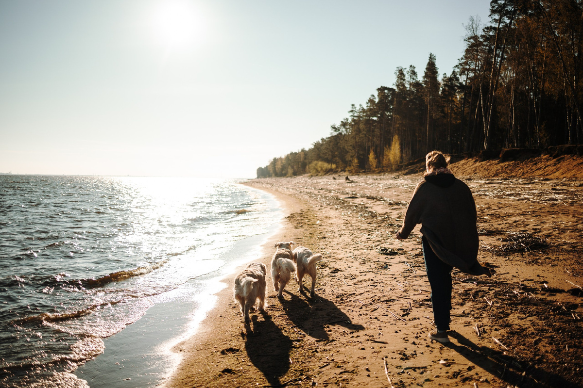 Раннее утро. Только мы и никого вокруг