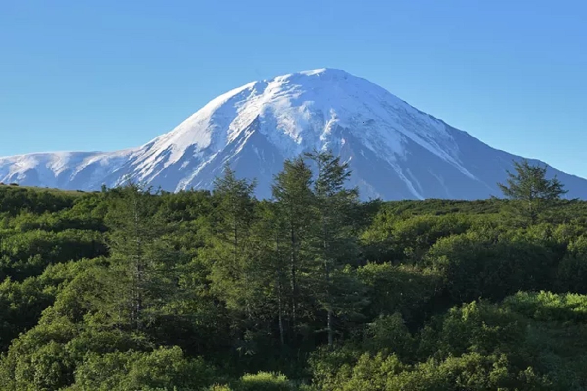    Фото: Михаил Воскресенский, источник РИА Новости