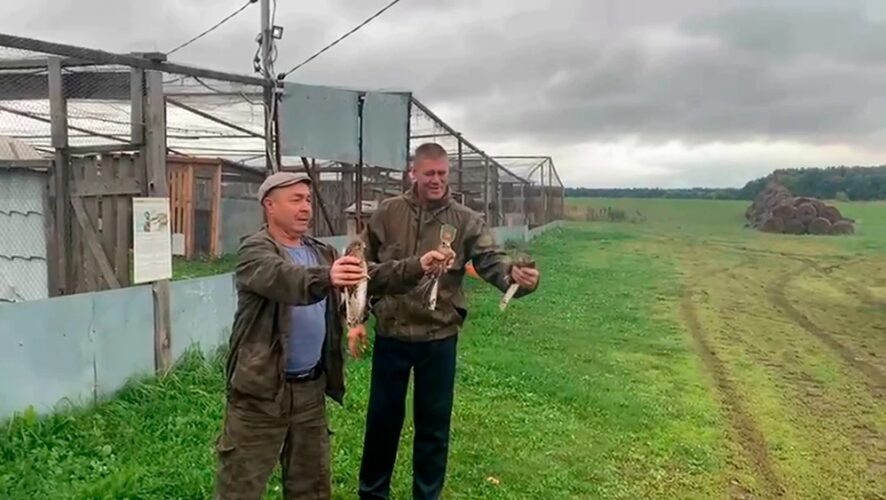    Фото: Скриншот с видео пресс-службы Госкомитета РТ по биоресурсам