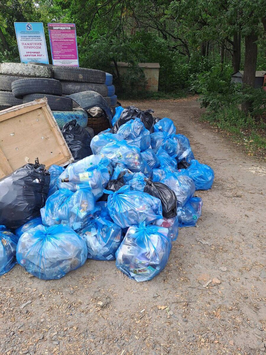 Фото: администрация Курска