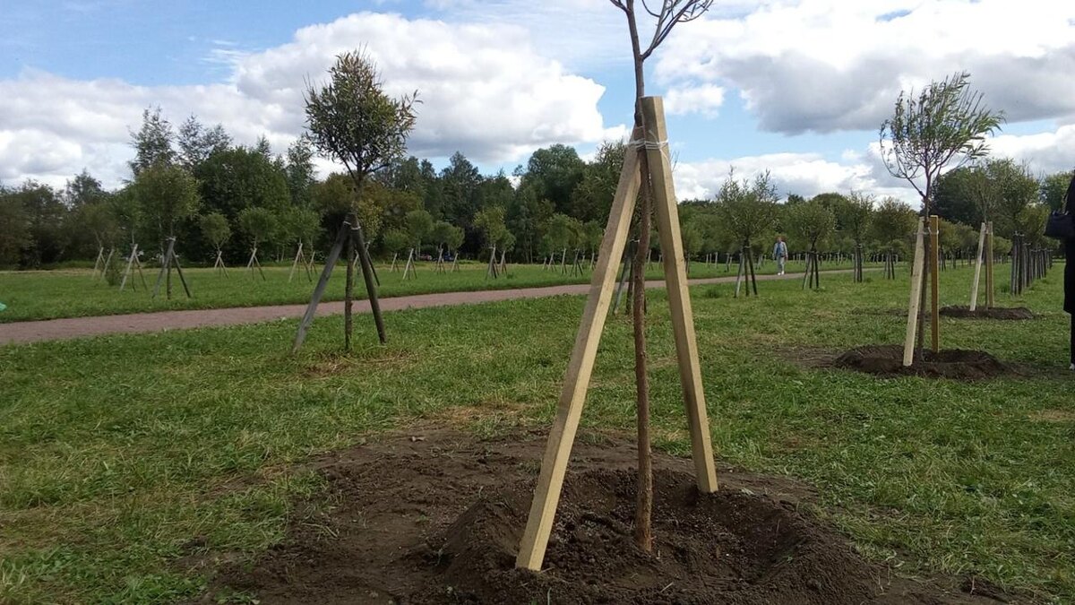    Фото: vk.com/kb_spb