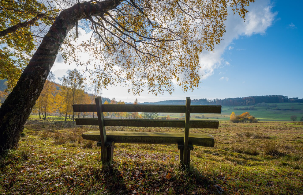 Фото: freepik / wirestock