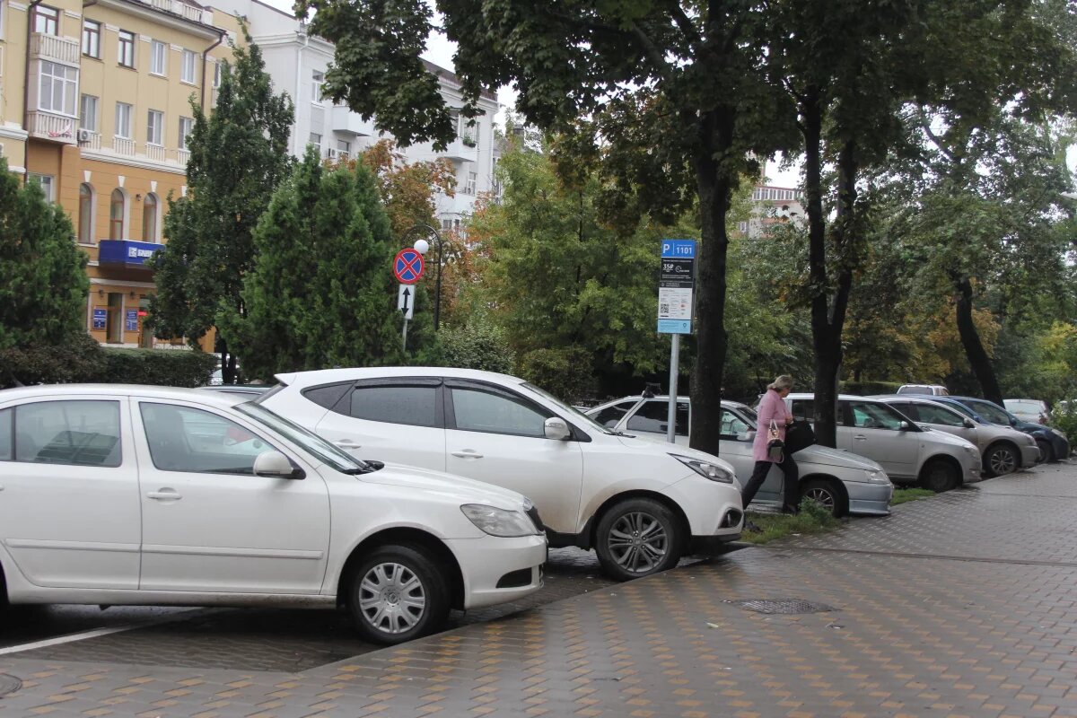    В центре Барнаула обустраивают парковку и сносят тополя