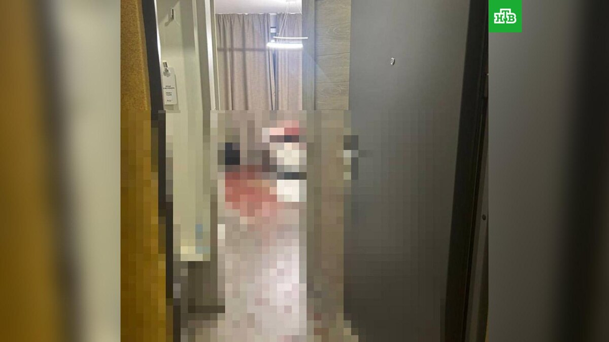    Фото: gsuskrf_spb / t.me