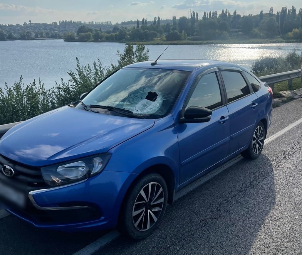     Фото с места происшествия предоставлено пресс-службой ГУ МВД по Воронежской области