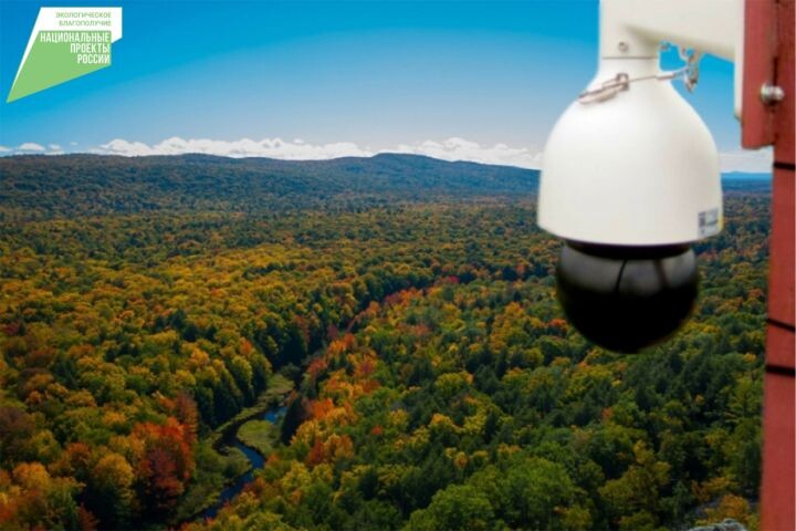    Фото:Пресс-служба министерства лесного хозяйства и лесопереработки Хабаровского края