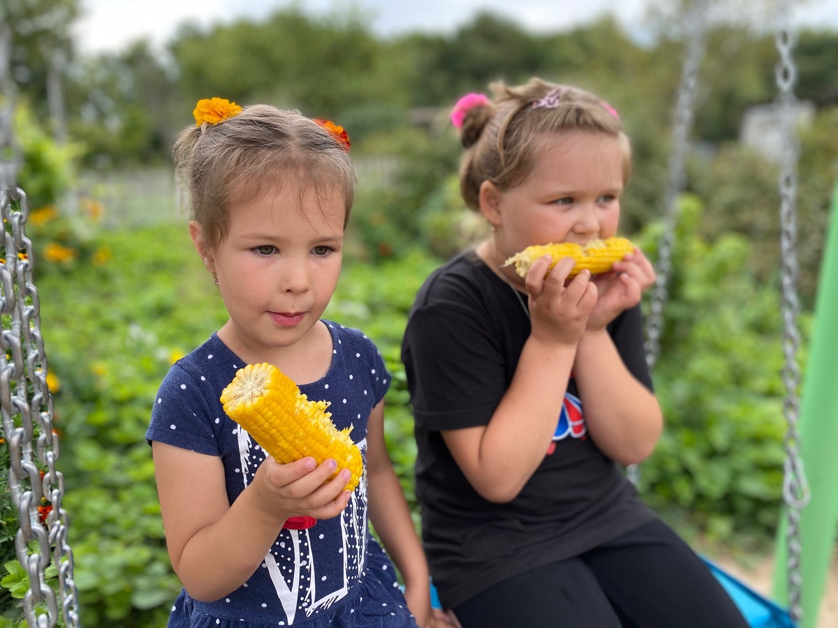 Марьяша с Дашей поедают кукурузу. Фото автора. 