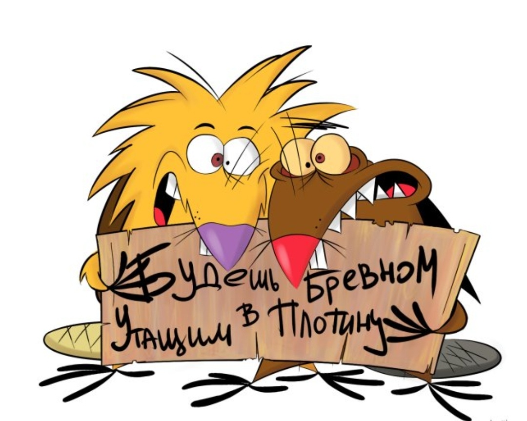 Фото из открытых источников. 