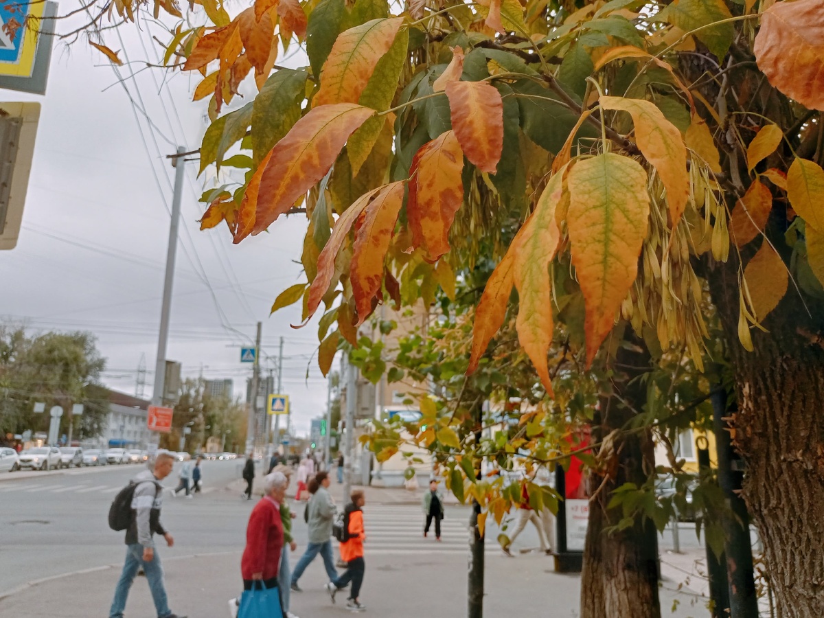    архив samaraonline24.ru