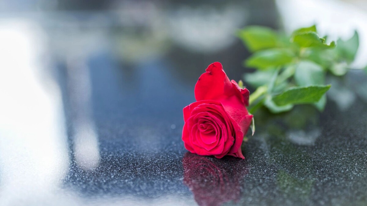    Фото: Dragana Gordic/Shutterstock/Fotodom