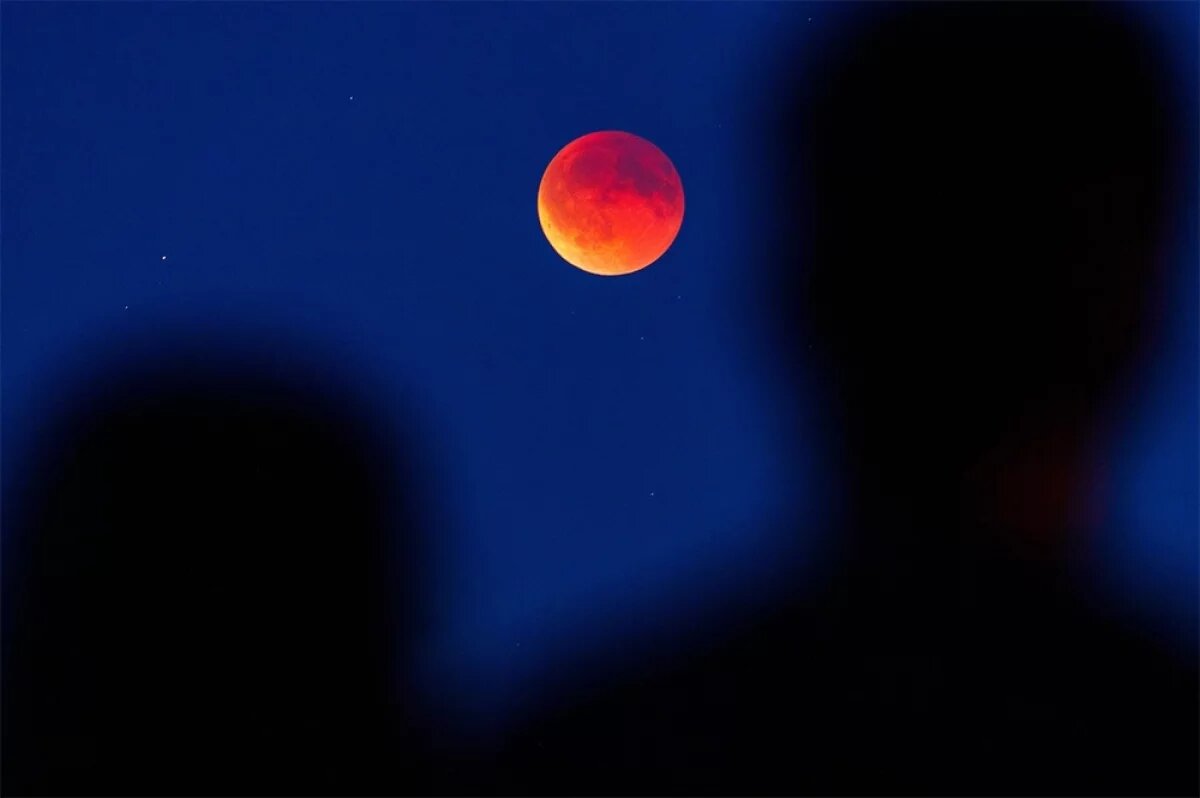    Кромешный ужас.