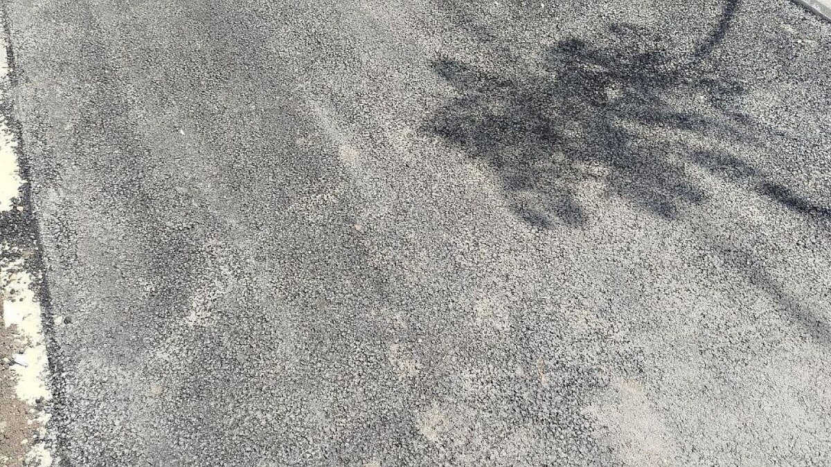    Фото: телеканал «Краснодар»