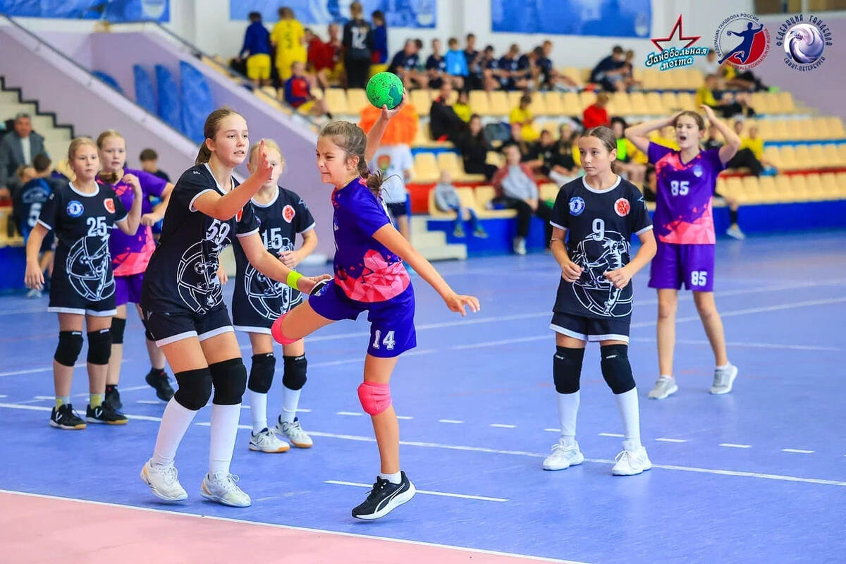    "Нужна серьёзная компания, которая взялась бы за женский гандбол"