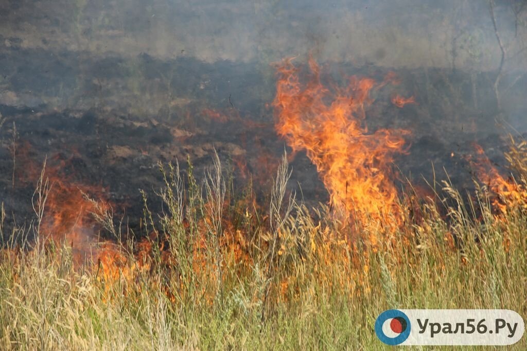    В Оренбургской области за сутки произошло 12 пожаров