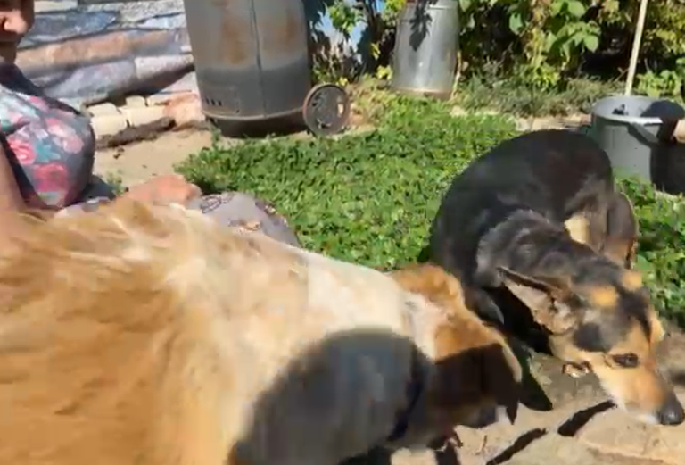 А сейчас он встанет между мной и Зарой. сами понимаете каким местом точно в камеру. 