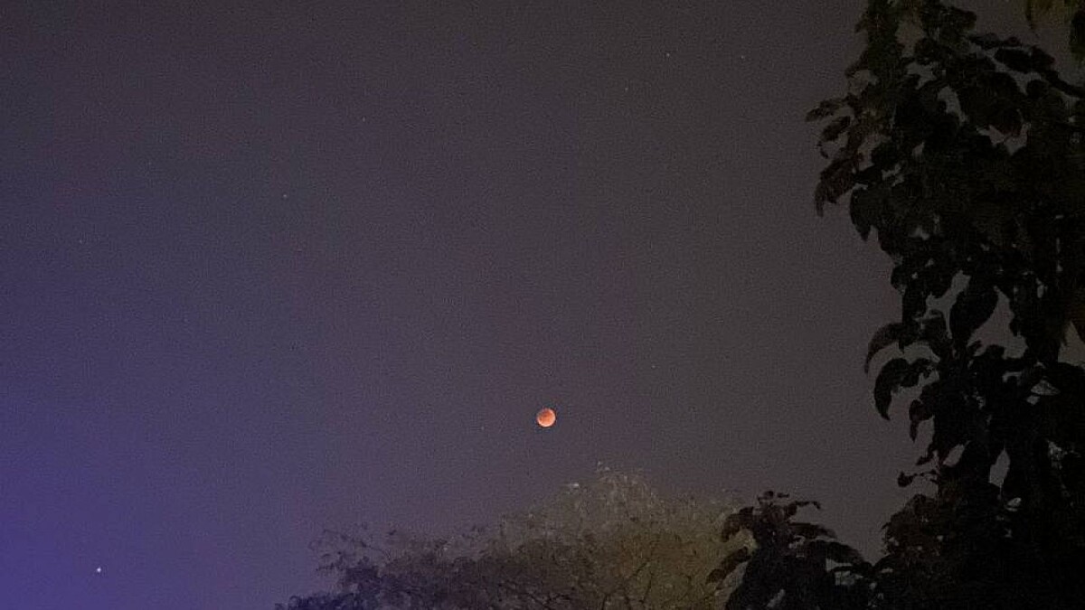    Фото: телеканал «Краснодар»