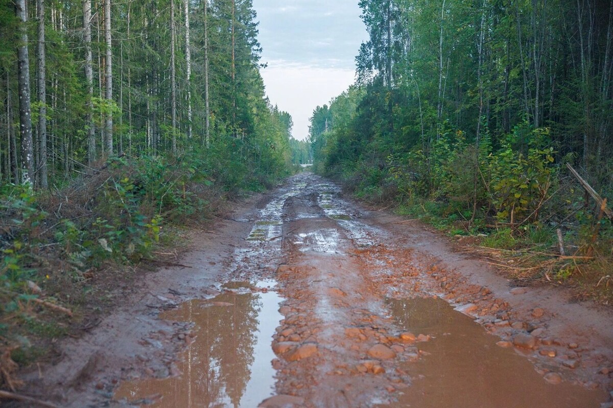     Источник: Илья Тимин / vk