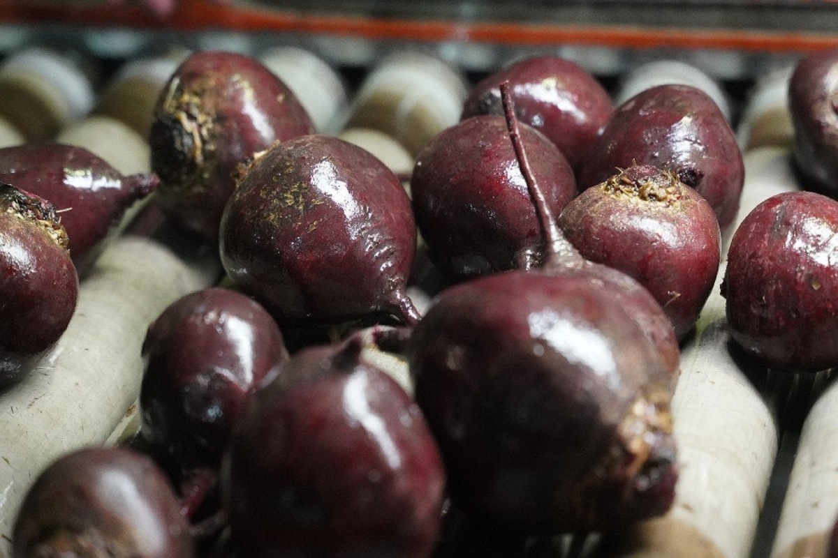    Фото: Лидия Аникина