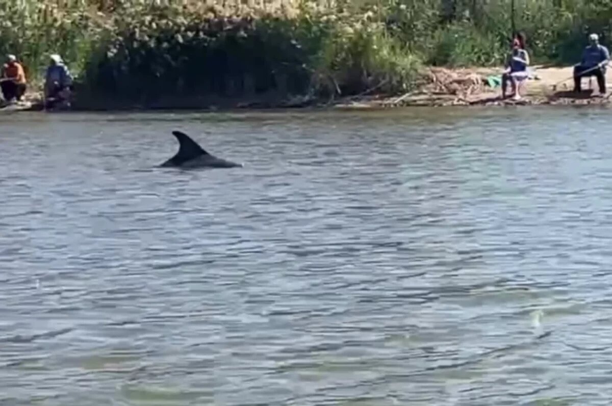    В гостях хорошо?