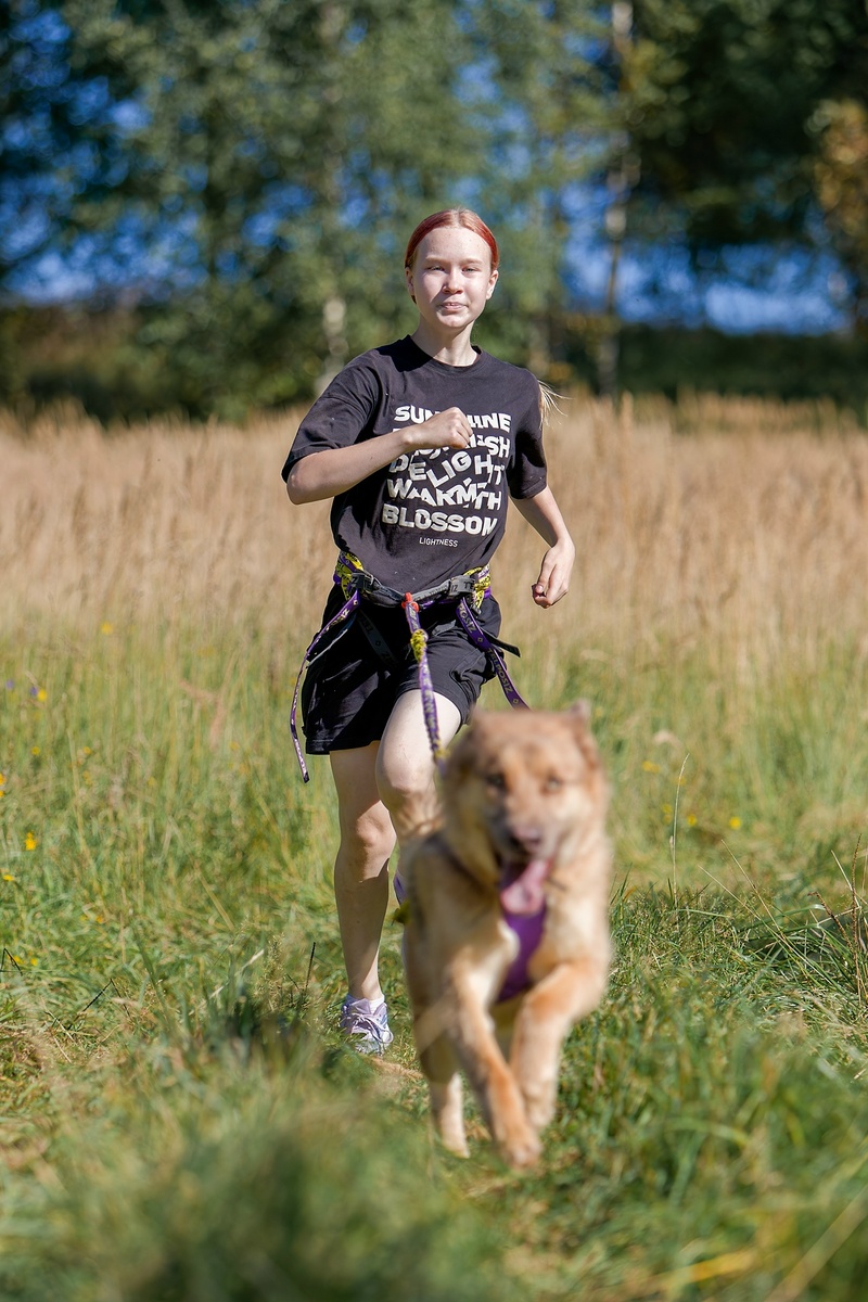 Метис хаски Норби и его спаринг-партнёр - волонтёр приюта Олеся Макаренко 