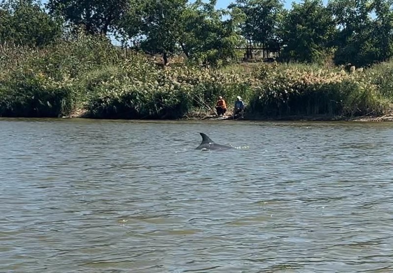    Фото: соцсети