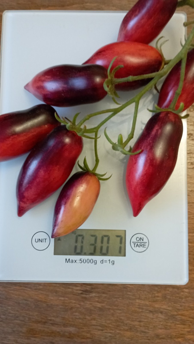 "Сливка Гурман"