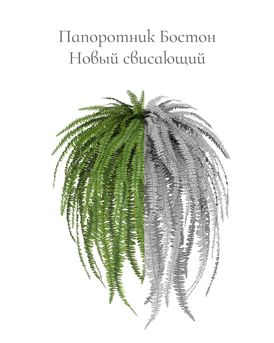 3D модели TREEZ Collection