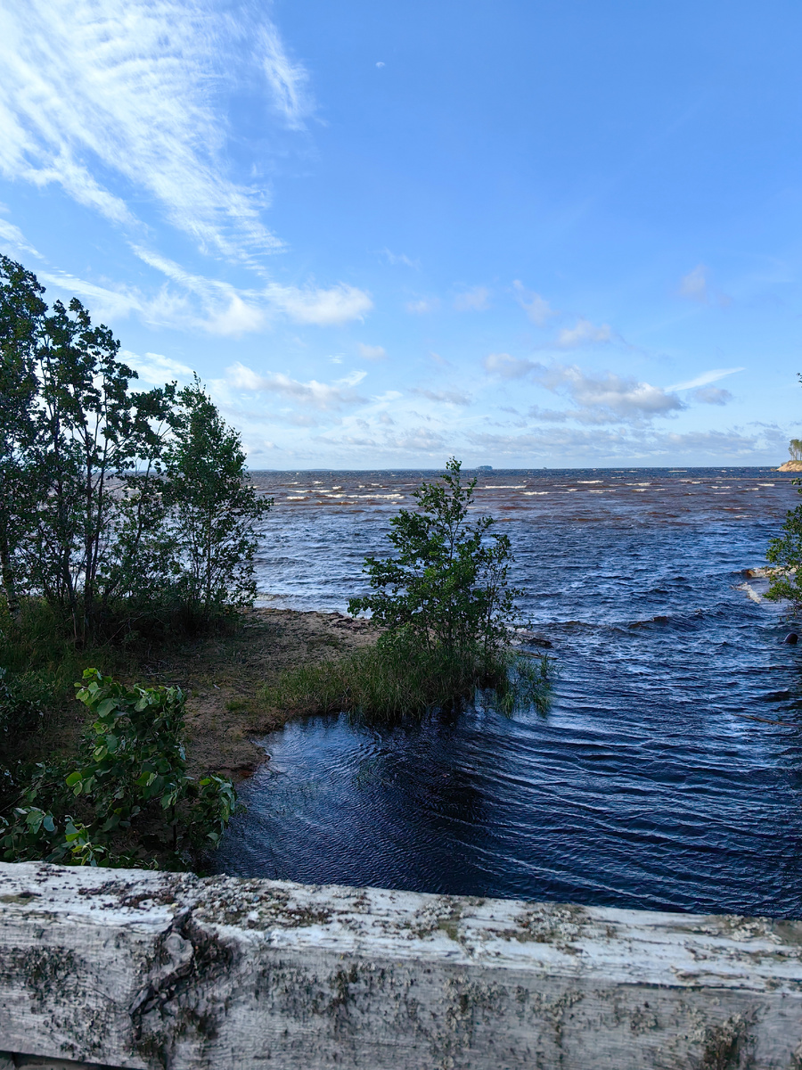 Выг озеро респ. Карелия

