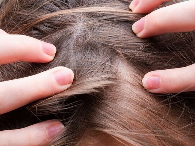    Фото: 123RF/verdohlib