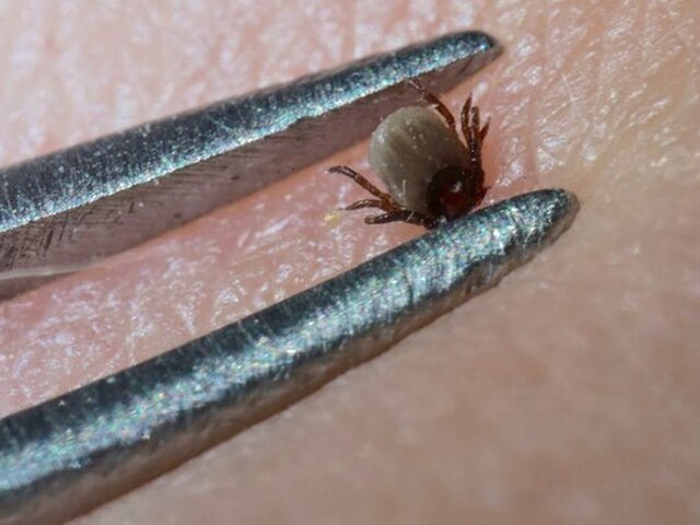    Фото: 123RF/germansilk100.yahoo.de