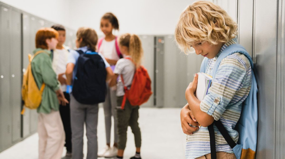    Травля в комментариях к школьным фото