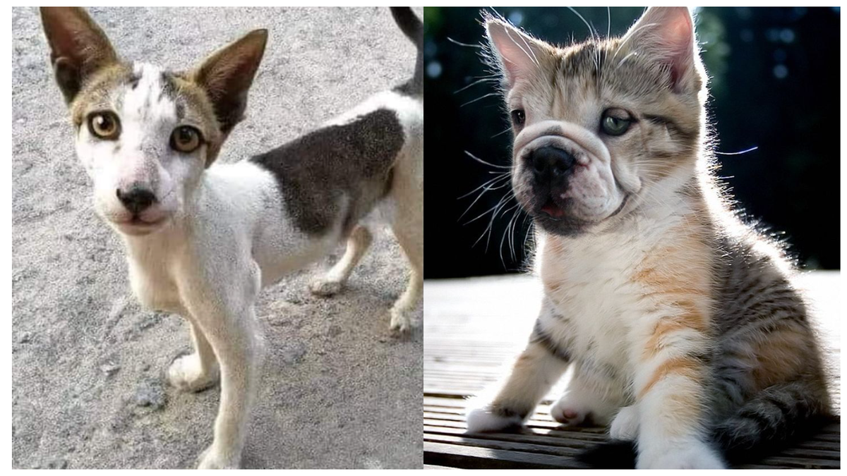 А вы в такое верите?