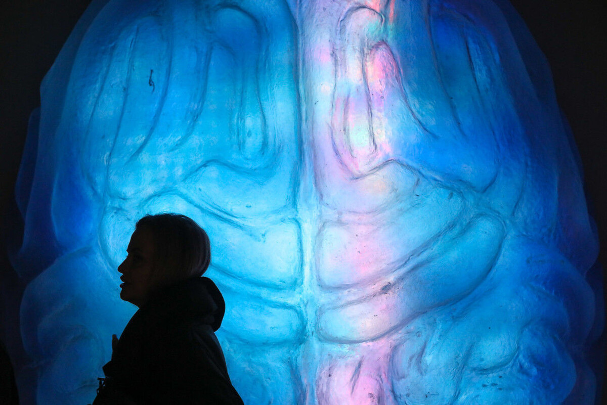 Роман Пименов / «Петербургский дневник»