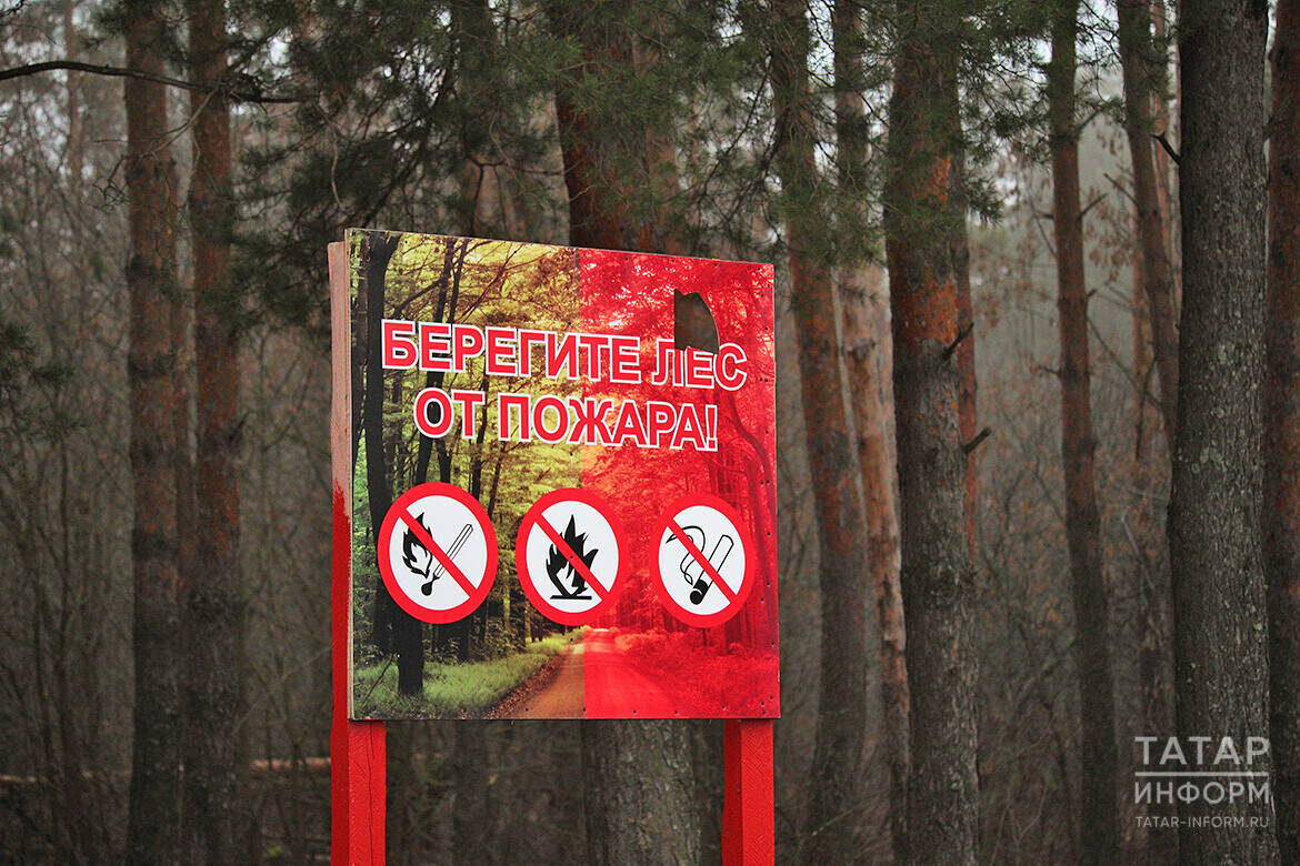 Фото: © Михаил Захаров / «Татар-информ»