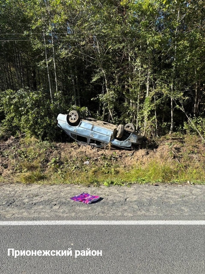    Фото: Госавтоинспекция Карелии / ВК