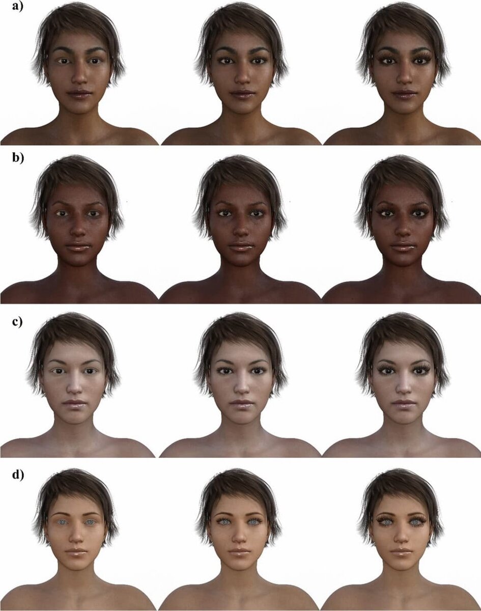    Примеры изображений женских лиц с разным размером ресниц / © Pazhoohi F., Archives of Sexual Behavior (2025)