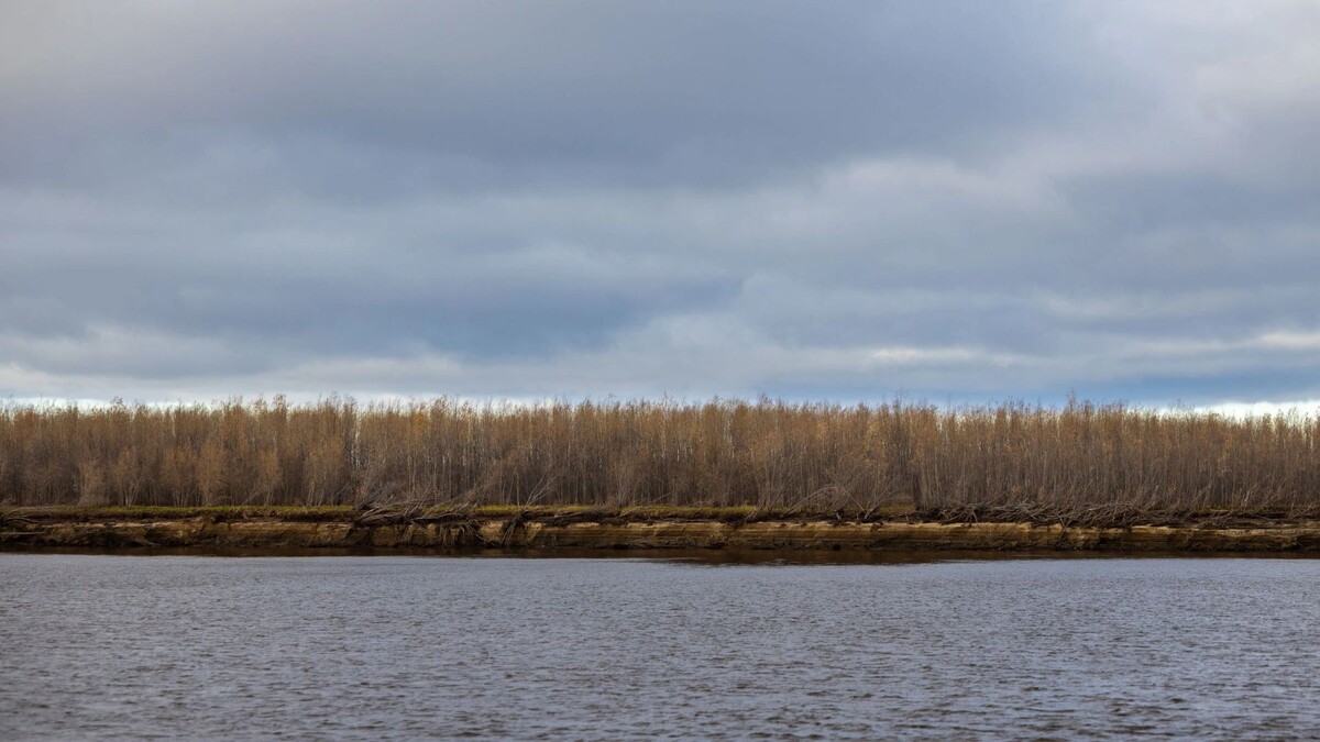    Фото: Федор Воронов/«Ямал-Медиа»