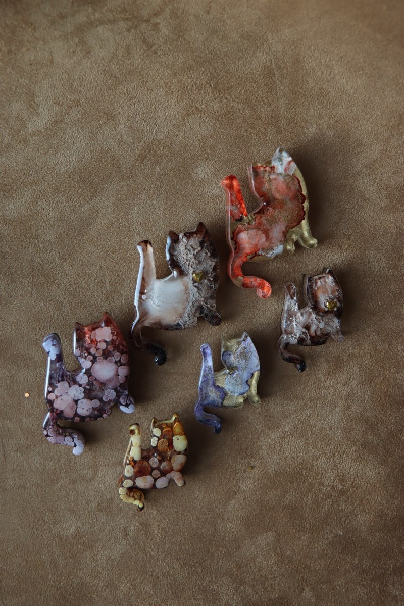 "Хобанутые" котики - как называет их супруга