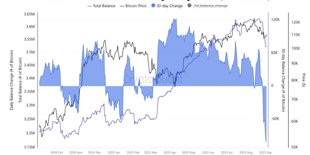 Киты сливают биткоин: крупнейшая распродажа с 2022 года! 🚨