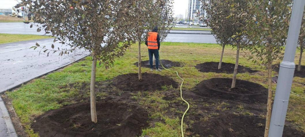Фото: МКУ «ЛесПаркХоз»