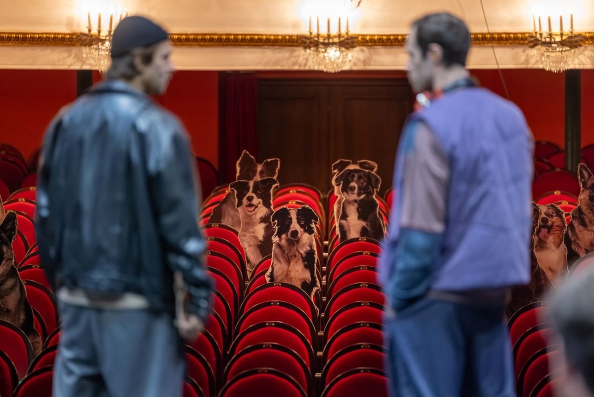    Фото: Unsplash, архивы пресс-служб