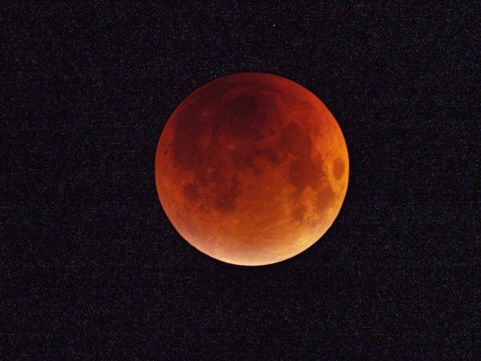    "Кровавая Луна" над Телецким озером. Источник: Алтайский биосферный заповедник/Роман и Татьяна Воробьевы