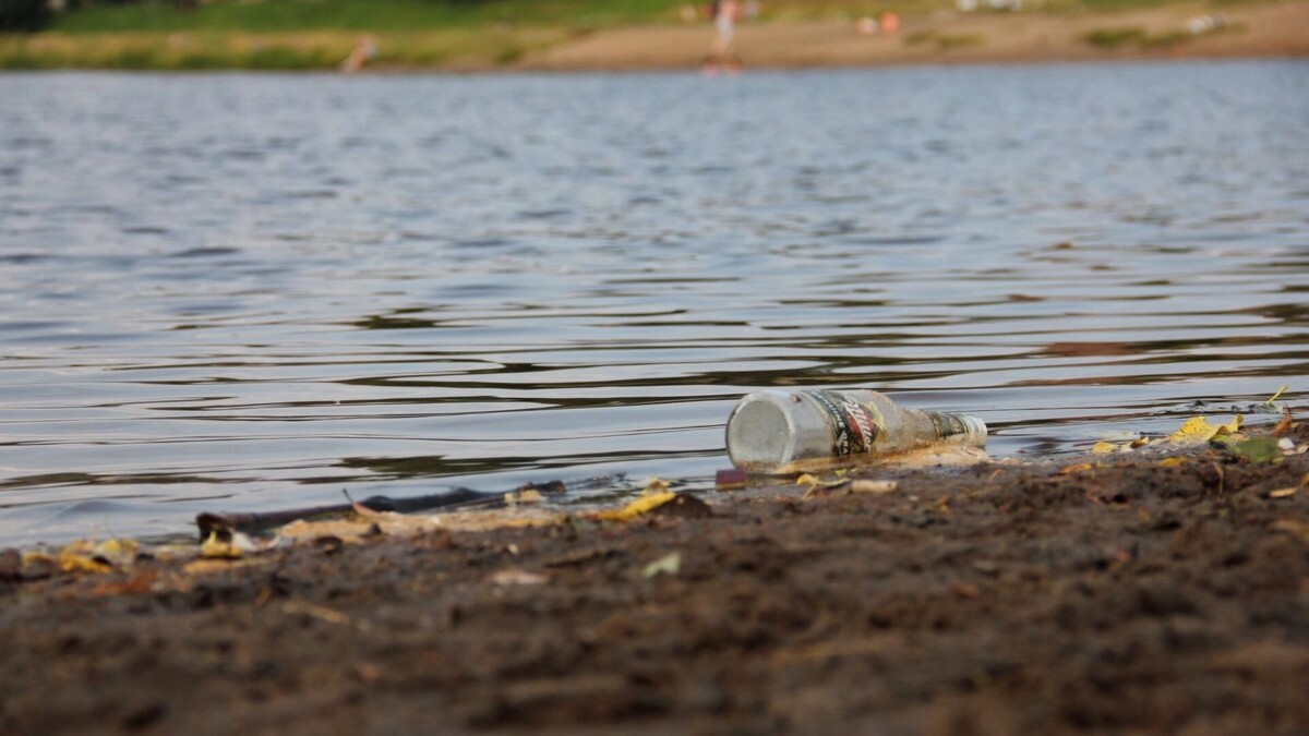     Источник: 1MI