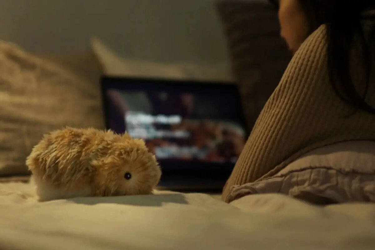    Робот учится распознавать хозяина и адаптирует свое поведение /casio